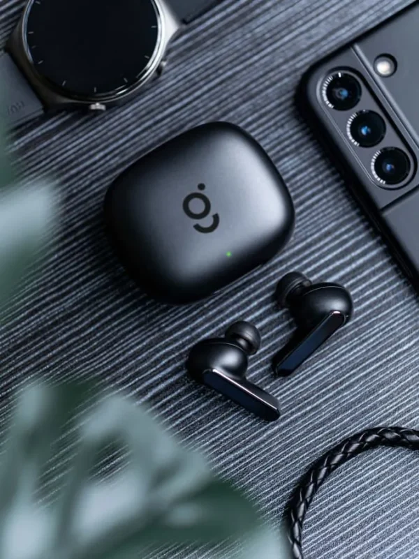 Earphones